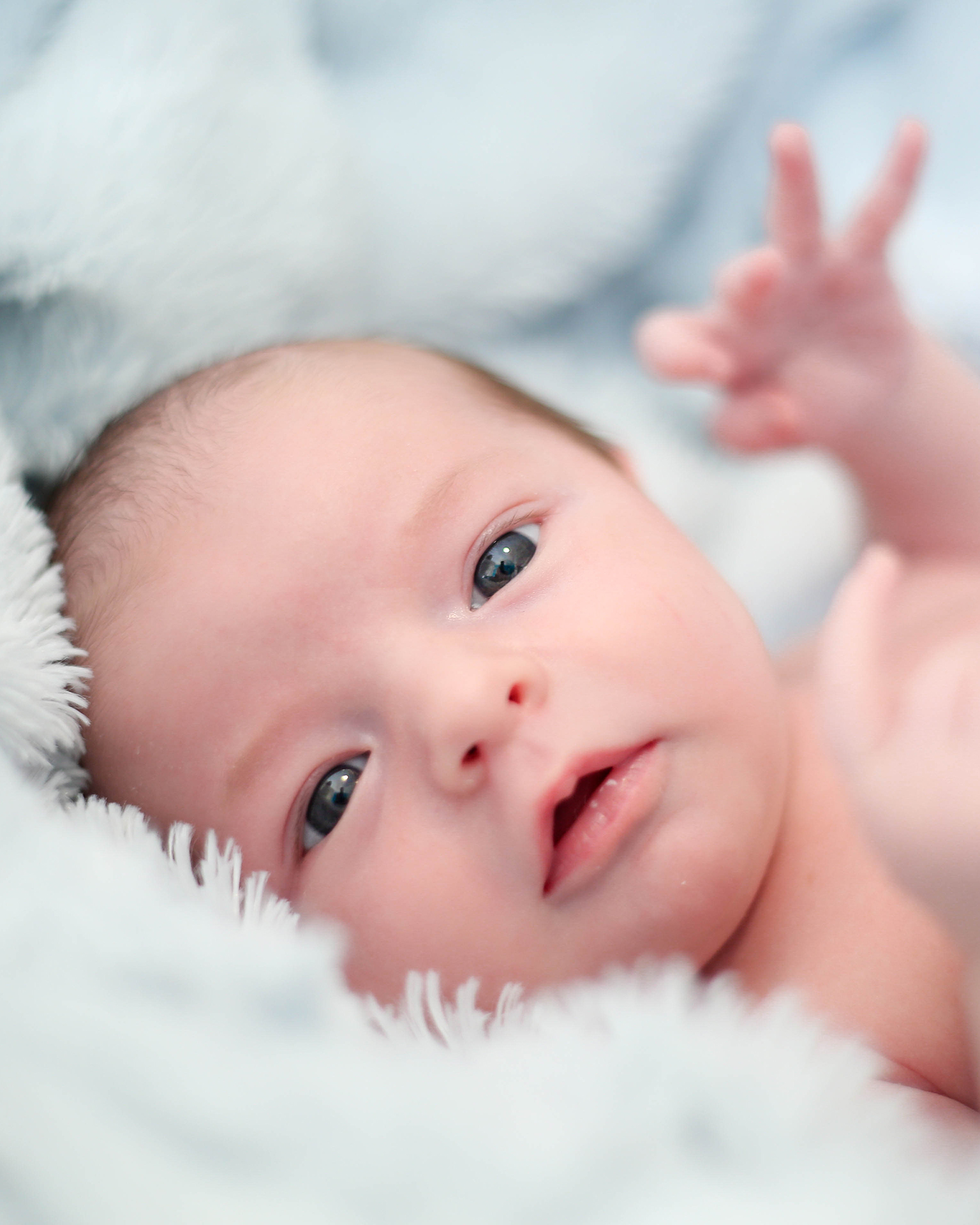 Aperçu pour L’instant Naissance